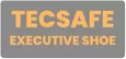 TecSafe Executive Logo